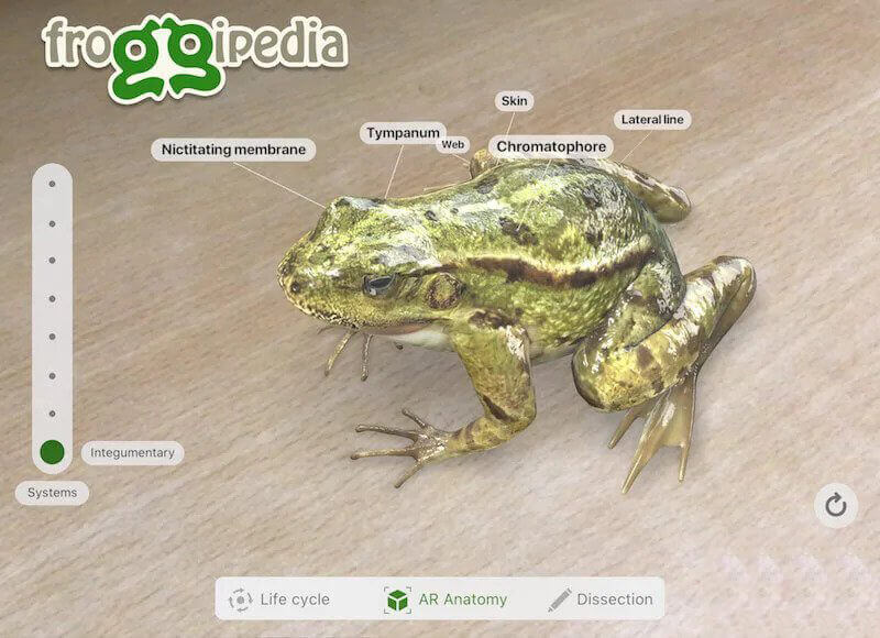 Froggipedia Augmented reality in education